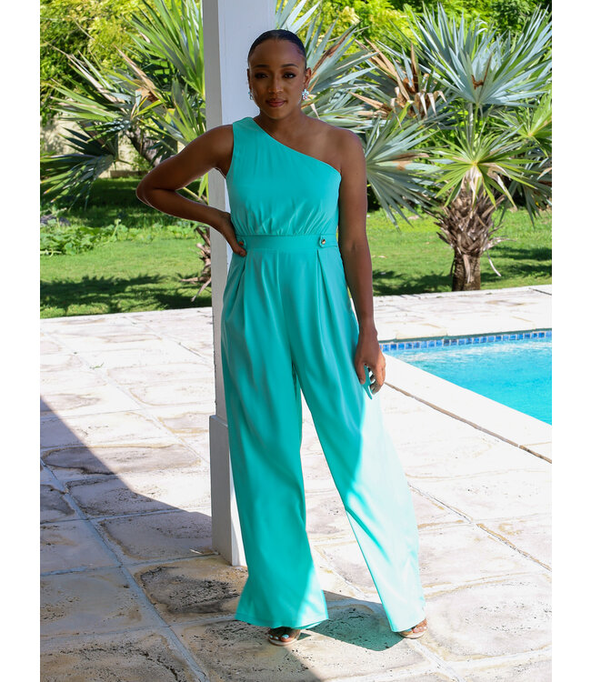 Carried Away One Shoulder Jumpsuit