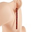 Fall In Line Earrings - Red