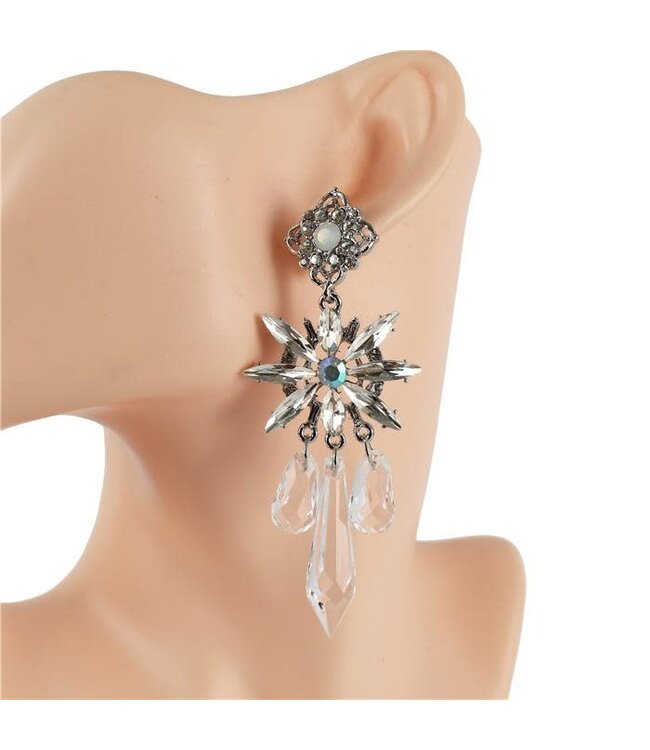 Crystal Flowers Earrings - Silver