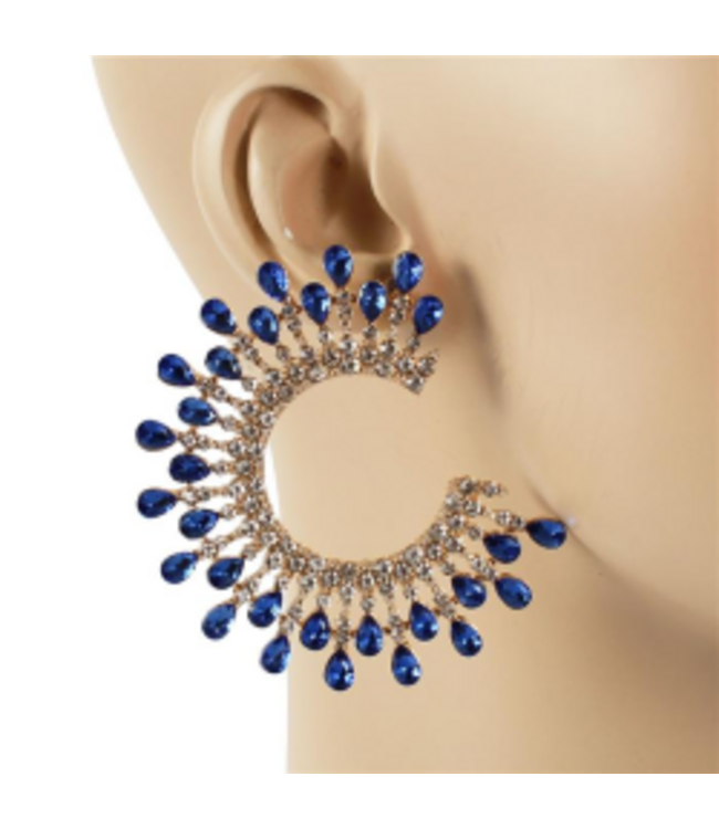 Center Of Attention Earrings - Blue