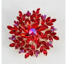 Special Appearance Brooch - Red