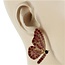I've Got Butterflies Earrings - Pink