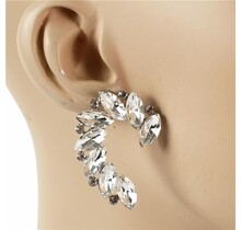 Follow Me Crystal Earrings - Silver