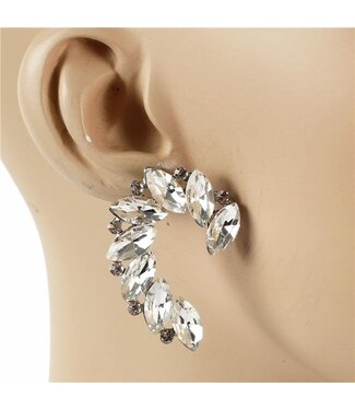 Follow Me Crystal Earrings - Silver