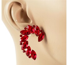 Follow Me Crystal Earrings - Red