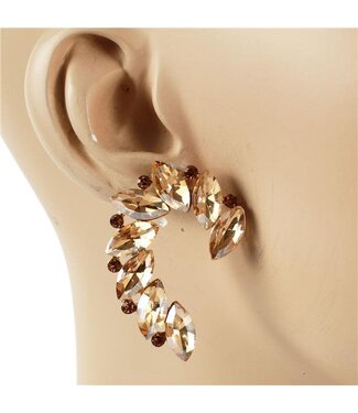 Follow Me Crystal Earrings - Topaz