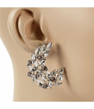 Upgraded Style Earrings - Silver