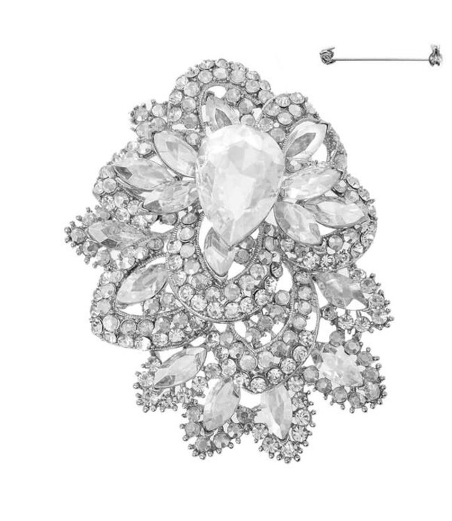 Capture This Brooch - Silver