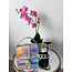 GIFT BUNDLE #6
