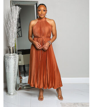 MOMENTS TO REMEMBER PLEATED DRESS MOCHA