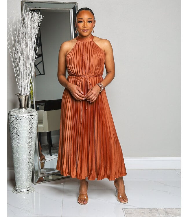 MOMENTS TO REMEMBER PLEATED DRESS MOCHA