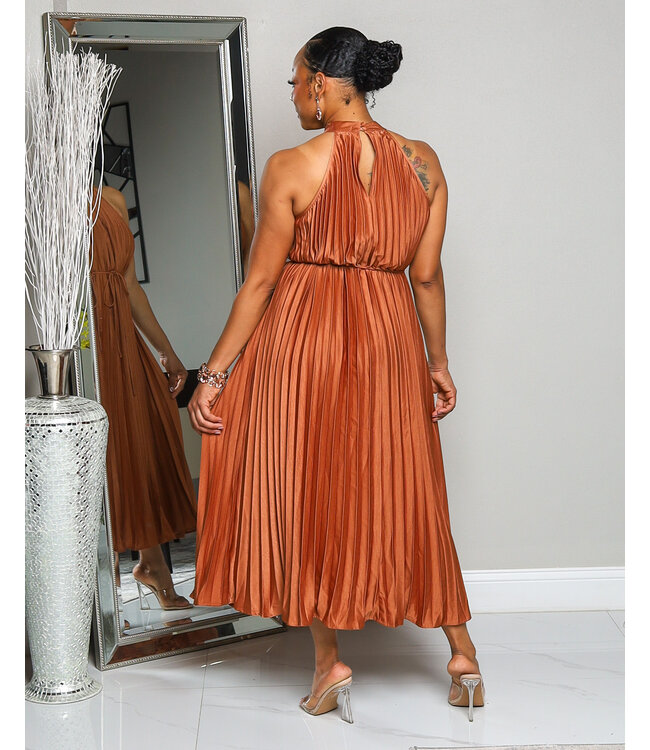 MOMENTS TO REMEMBER PLEATED DRESS MOCHA