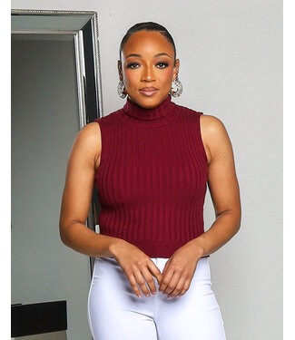 WARM ME UP TURTLE NECK TOP - BURGUNDY