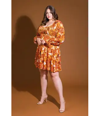 PLUS FEELING LIKE FALL DRESS