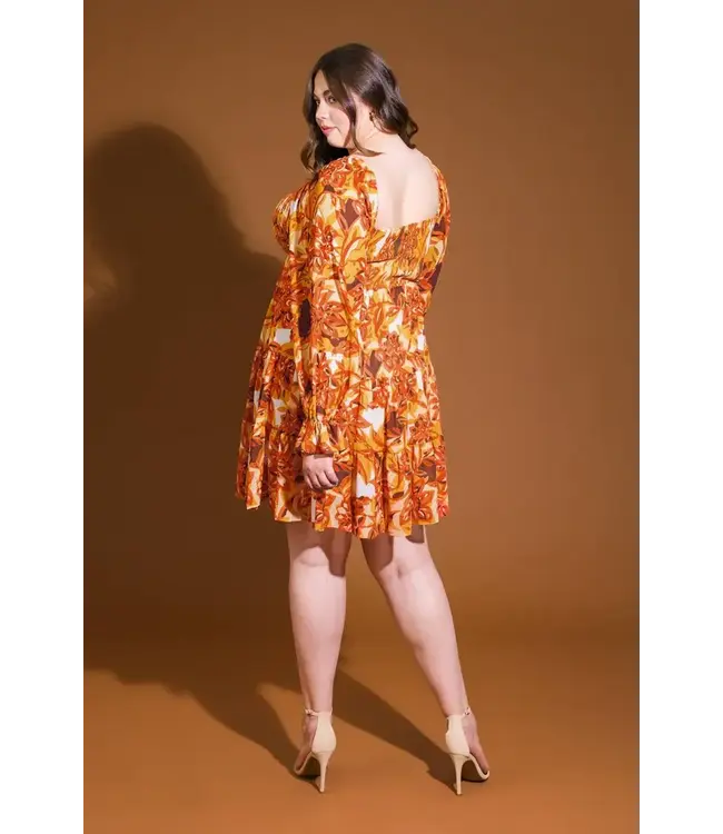 PLUS FEELING LIKE FALL DRESS