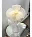 ROSETTE DREAMS FASCINATOR - IVORY
