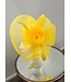 Endless Love Fascinator - Yellow