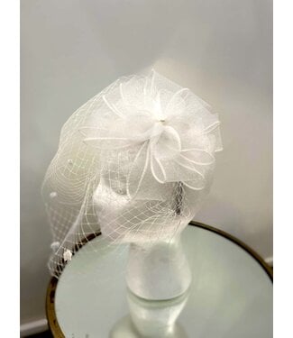 Well Wishes Fascinator - White