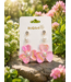 MAGICAL PETALS 3 PAIR EARRING SET - LIGHT PINK