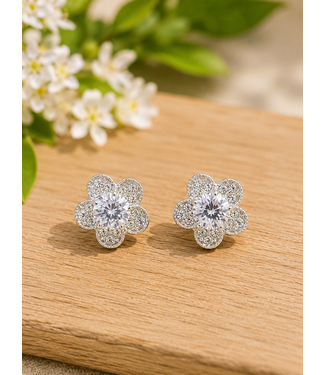PLAY IT SAFE RHINESTONE KNOBS - SILVER