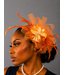 Blushing Bloom Fascinator - Orange