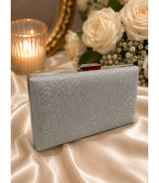 Shine On Clutch - Silver