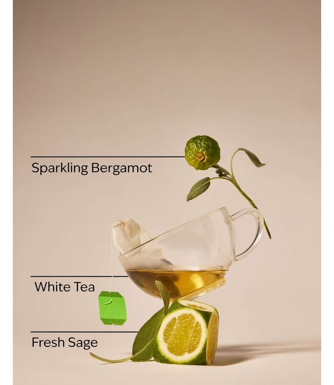 Bath & Body Works White Tea & Sage PocketBac Hand Sanitizer