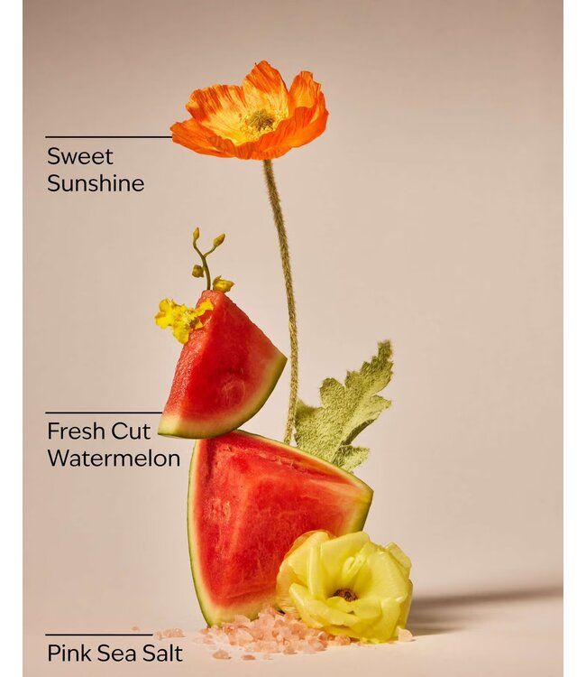 Bath & Body Works Fresh Watermelon PocketBac Hand Sanitizer
