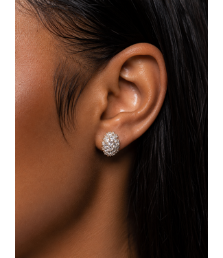 Elegant Escape Rhinestone Earrings - Silver (Gold Dipped)