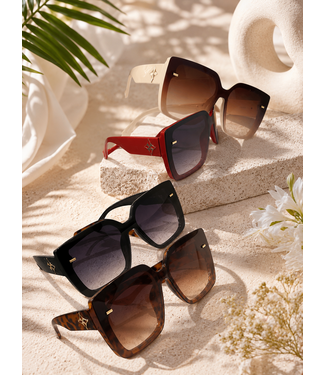 The Moment Sunglasses