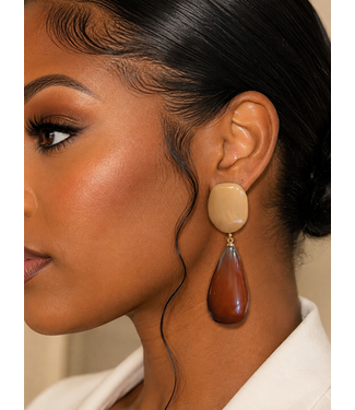 Earth & Elegance Earrings - Brown