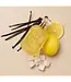 KAY ALI  Capri In A Bottle Lemon Sugar | 14 Parfum 100ml