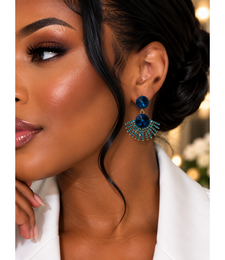 Baby You're A Firework Earrings - Blue
