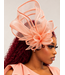Grand Entrance Fascinator - Peach