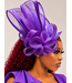 Grand Entrance Fascinator - Purple