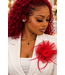 Hello Rose Fascinator - Red