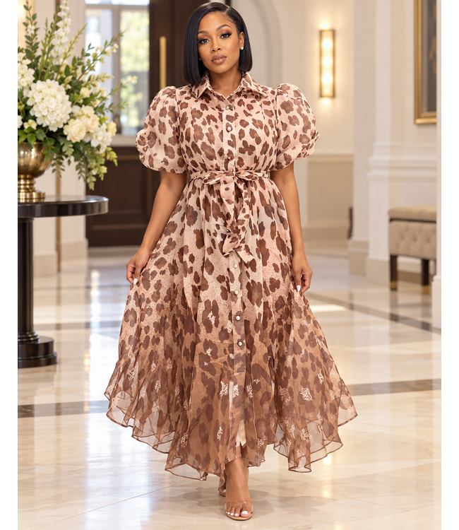 The Wild Side Buttoned Dress