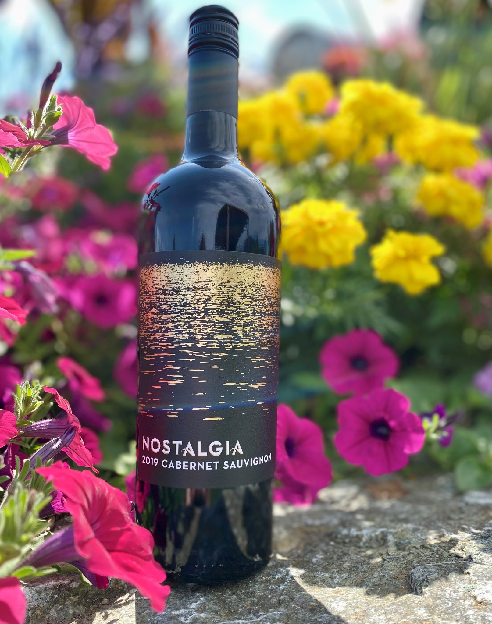 2019 Cabernet Sauvignon 750ml