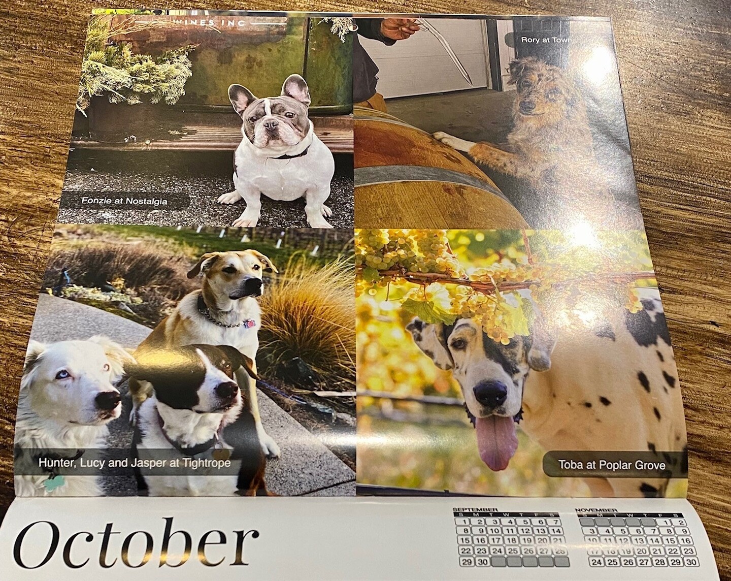 Winery Dogs Calendar Nostalgia Wines Inc. Online Store