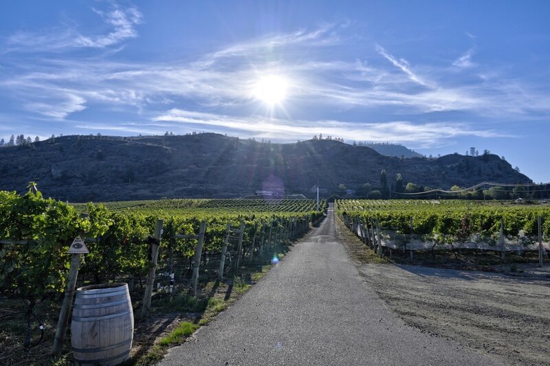 Registration -Memorable Wine Tour - July 20 2024