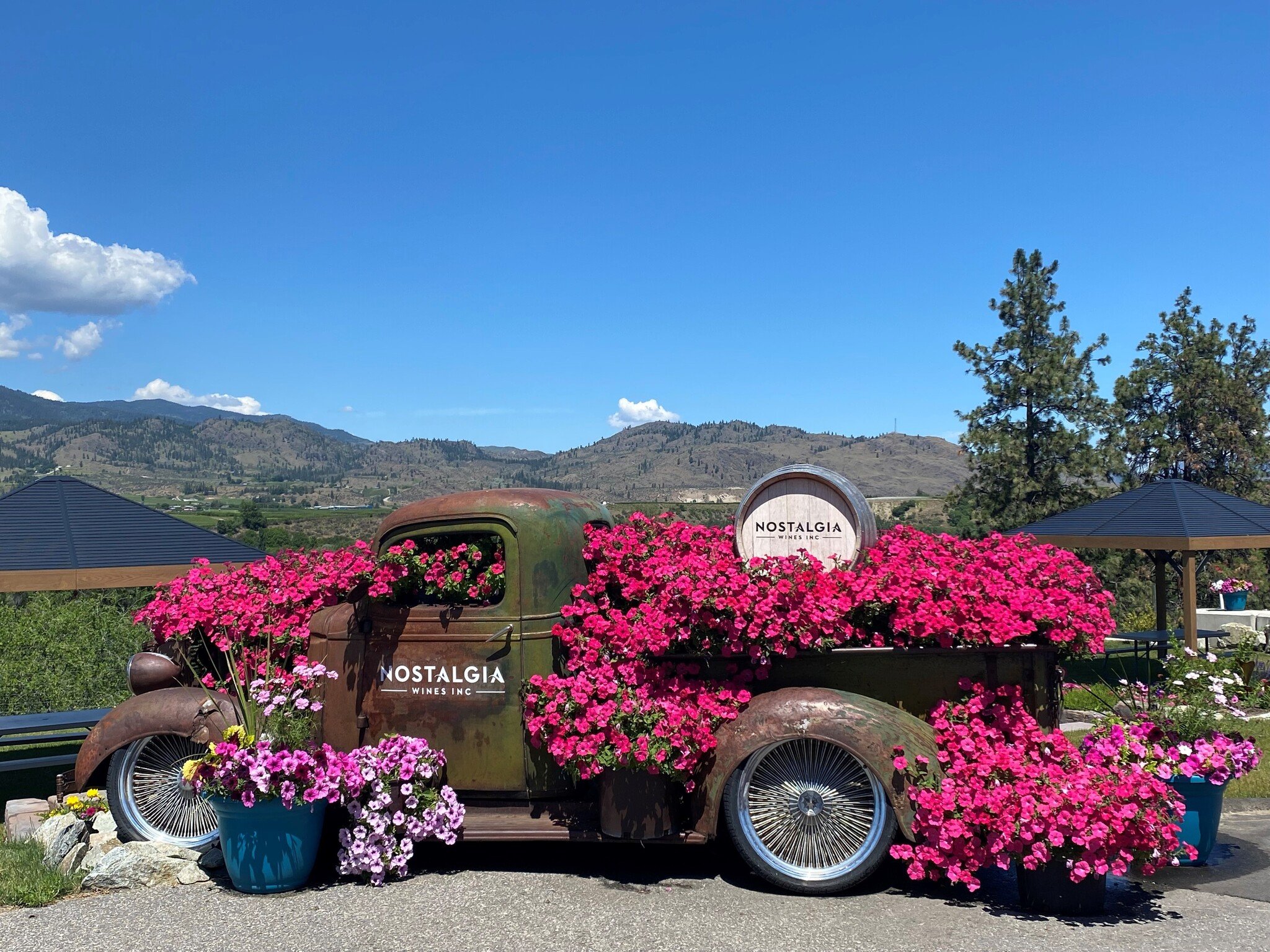 Bandidos - Concert Tickets - Friday July 24, 2026