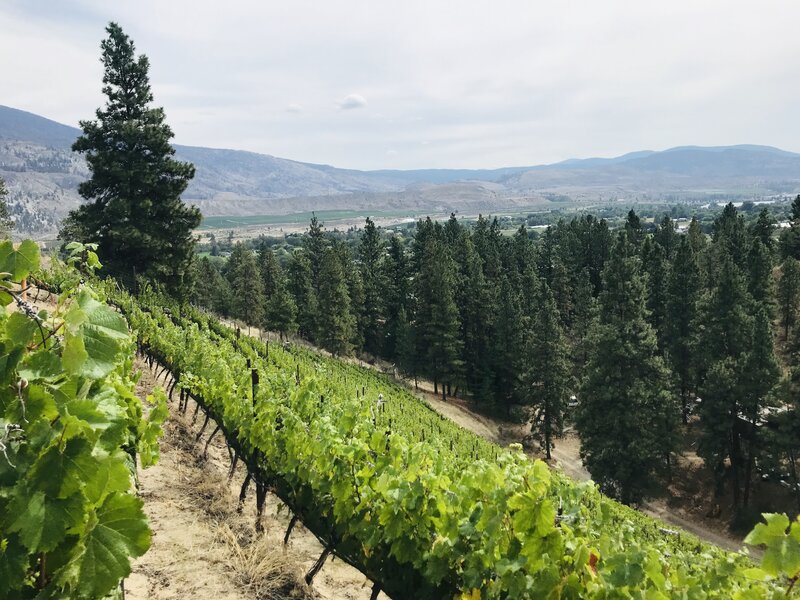 Malbec Vertical 6 Pack