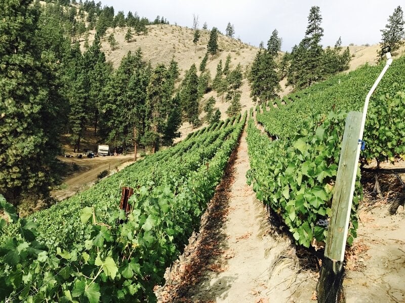 Malbec Vertical 6 Pack