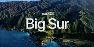 Big Sur - Big Trouble???