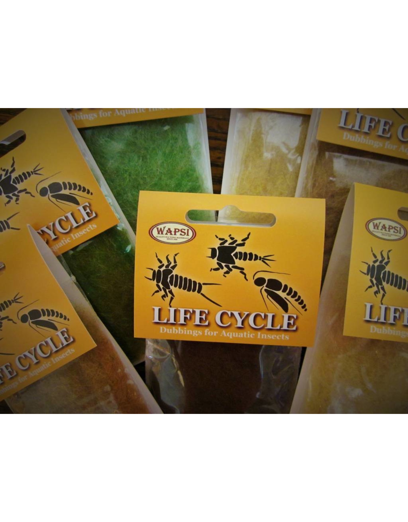 Life Cycle Dubbing