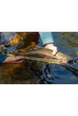 Fishpond Fishpond Nomad Middle Fork Net