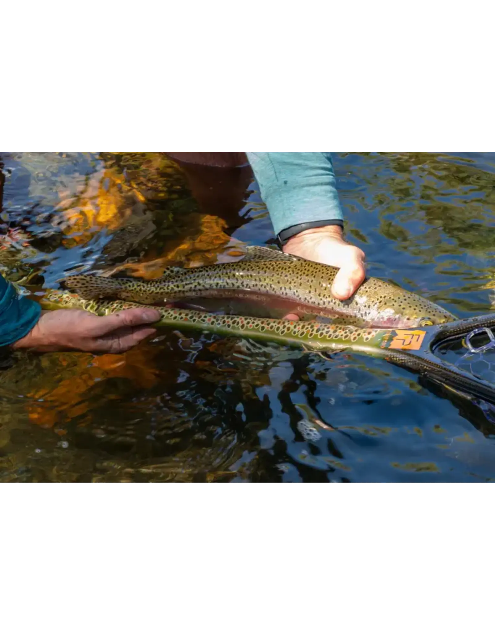 Fishpond Fishpond Nomad Middle Fork Net