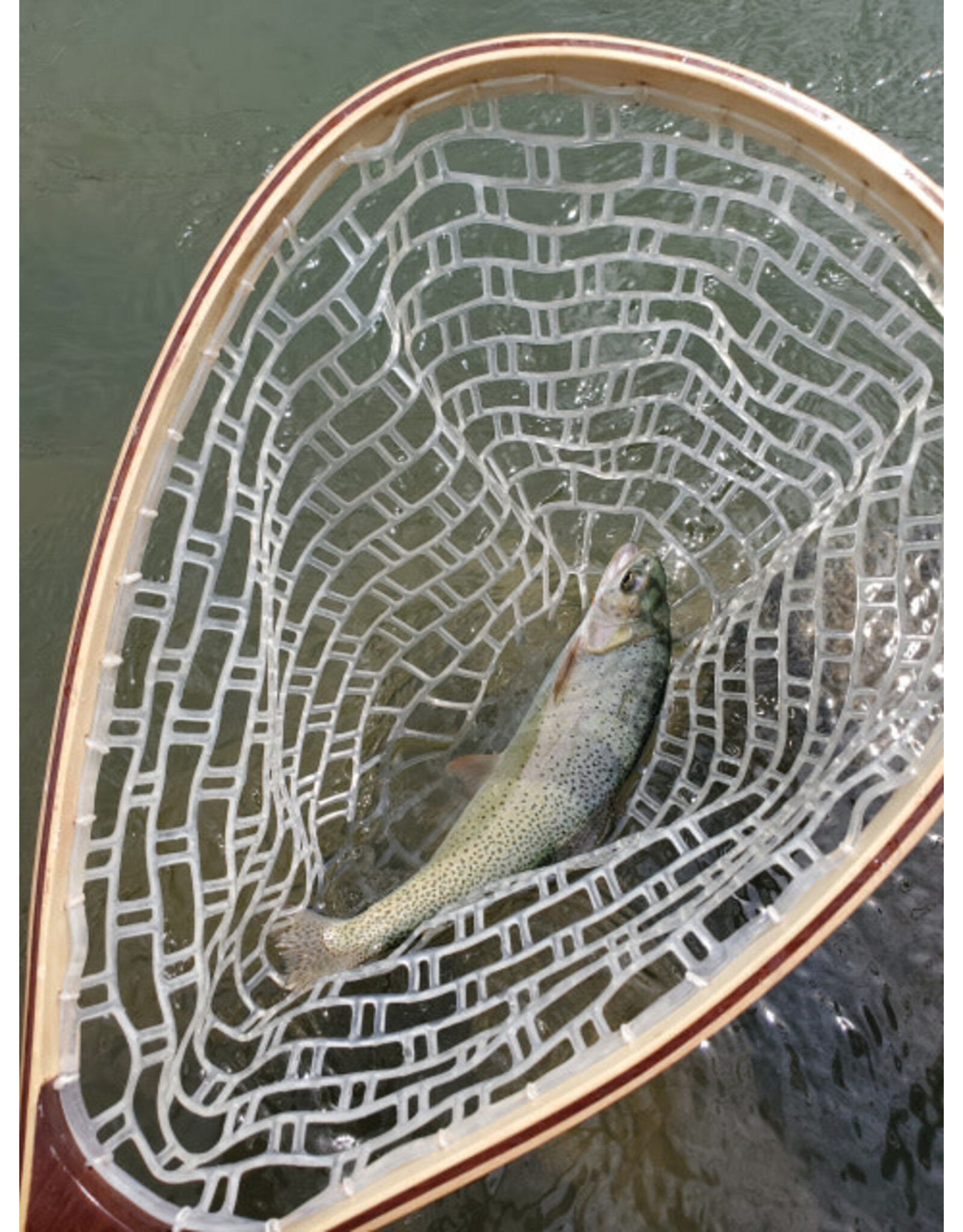 New Phase Catch&release net