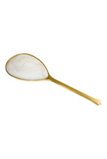 New Phase Long Handle Catch& Release Net