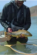 New Phase Long Handle Catch& Release Net